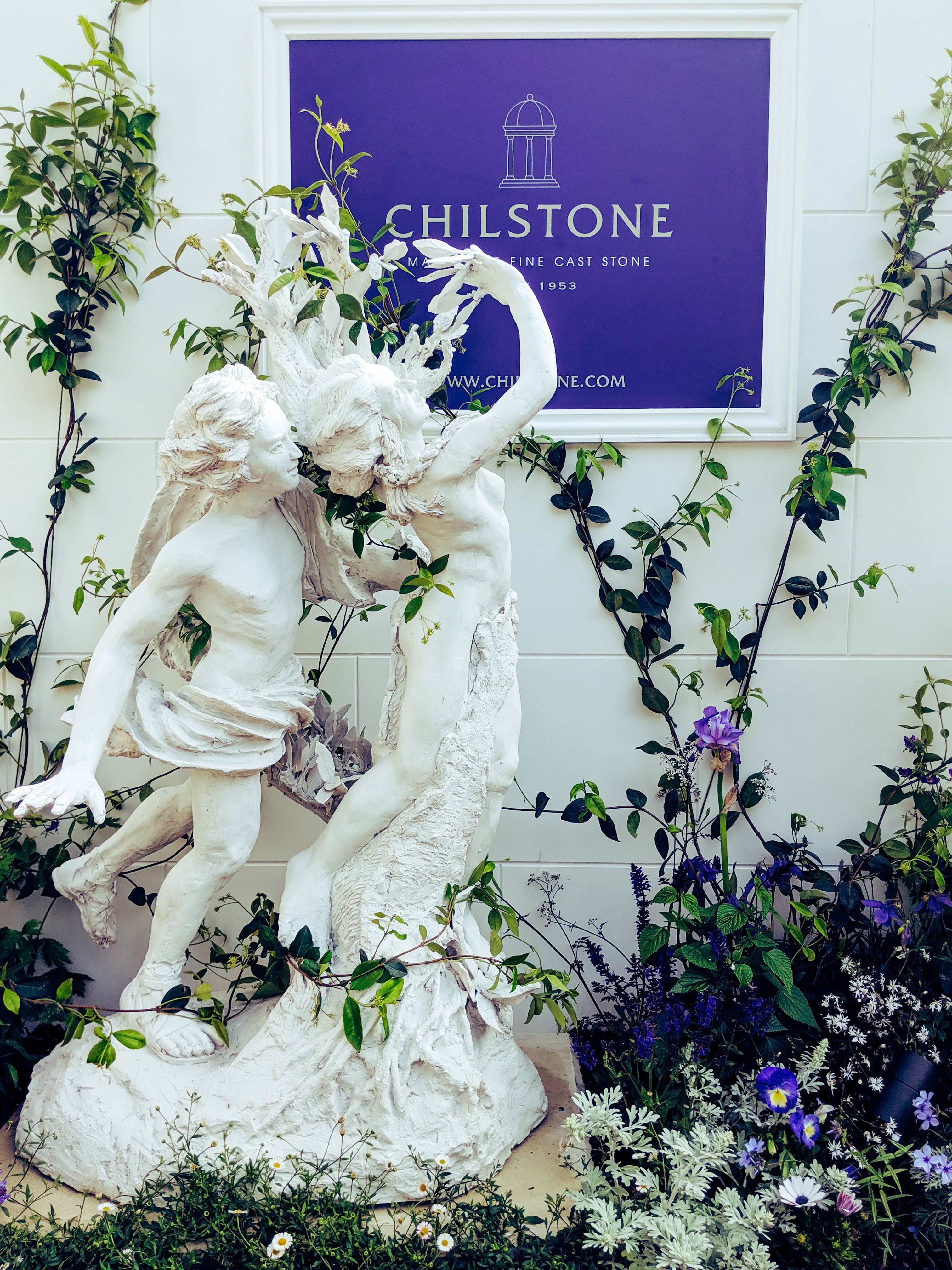 Copy of Apollo and Daphne Greek God and Goddess statue in marble resin in front of white wall with vines, purple flowers and purple Chilstone sign