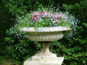 A pretty, traditional shaped planting urn, with fluted bowl and neck, overflowing with summer bedding plants.