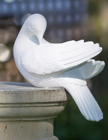 Dove Sculpture with Head Tucked