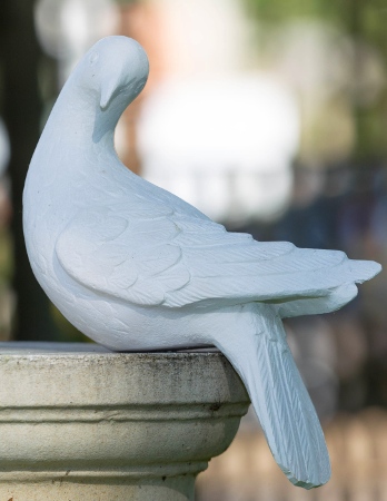 Dove Sculpture