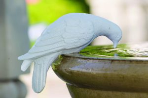white Dove statue drinking from stone birdbath