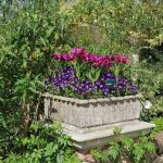 Top Five Container Gardening Tips For Wellbeing