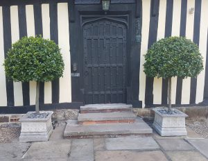 A pair of standard trees in matching Gothic Jardinieres flanking the entrance of a smart, Tudor house. 