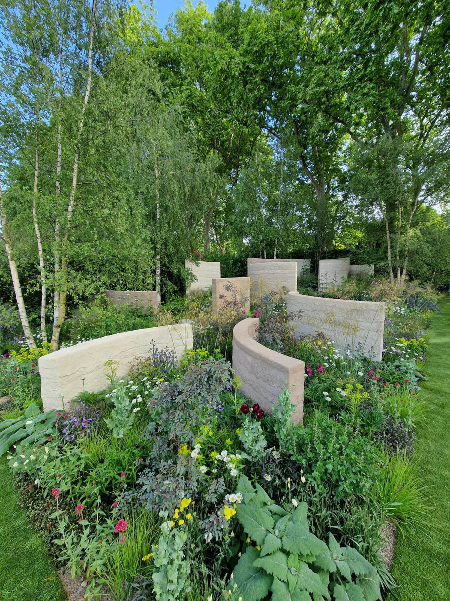 Curved stone walls silver birch trees and wildflowers create a calm and serene atmosphere in the Mind charity garden for mental health at Chelsea 2022