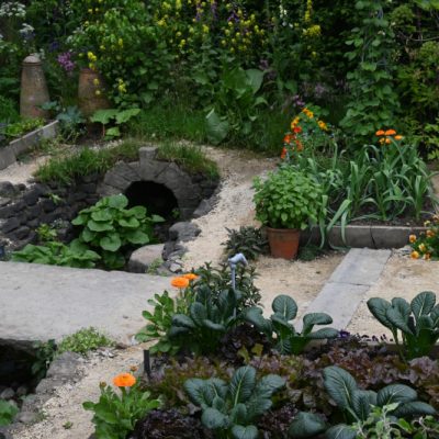 Chelsea Trends: Edible Gardens