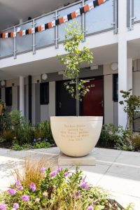 A large, sleek Chilstone planter potted with a sapling. The planter is engraved in gold to commemorate Prince William opening a project for charity, Centrepoint.