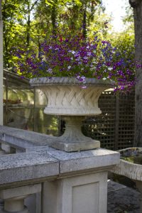 An Elizabethan style stone urn with a basket weave design, raised on a slender neck. This handmade urn is filled with tumbling lobelia in blues and purples.