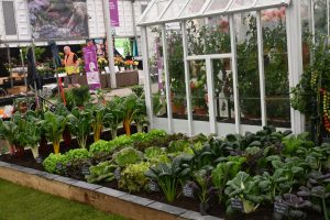 A beautifully neat vegetable garden at The Chelsea Flower Show